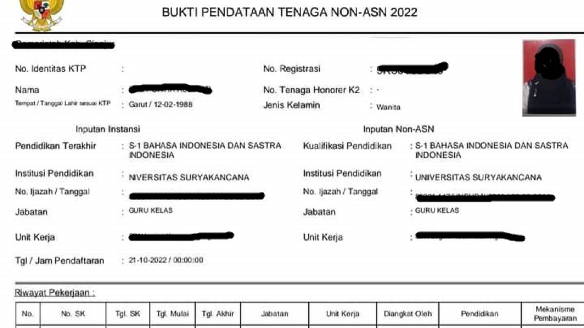 Jelang Pendaftaran PPPK 2024, Cek Data Apakah Masuk Pendataan Non ASN