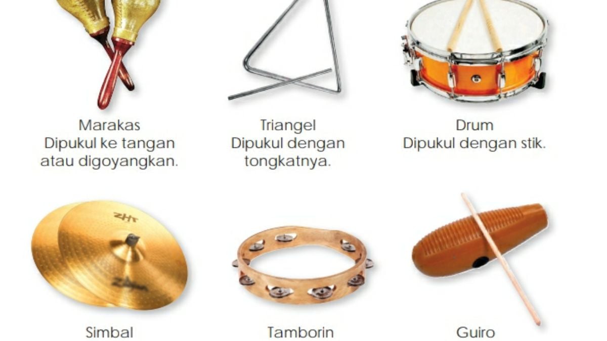 Mengasah Pemahaman tentang Bunyi: Contoh Soal Kelas 4 SD dan Pembahasannya
