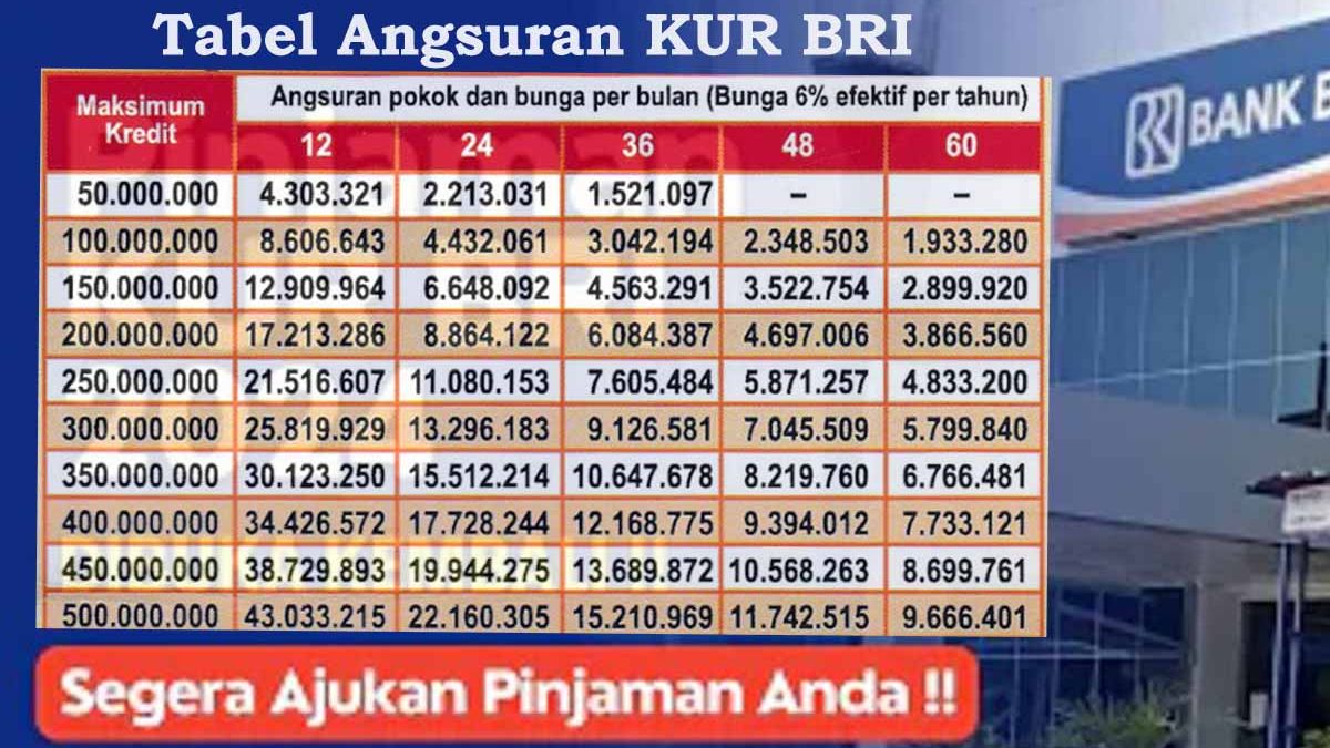 Aplikasi Perpustakaan Denda Peminjaman 2024