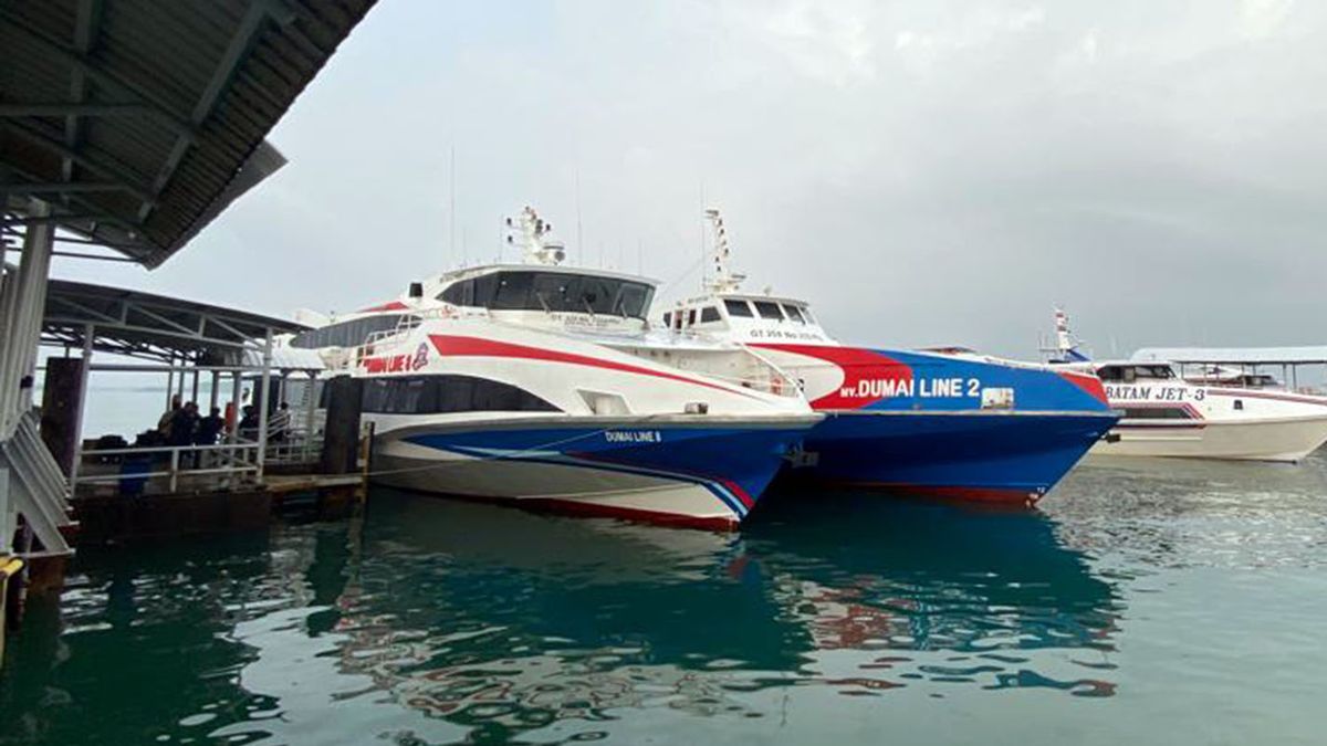 Harga Tiket Kapal Ferry Di Pelabuhan Domestik Sekupang Per Maret 2024 ...