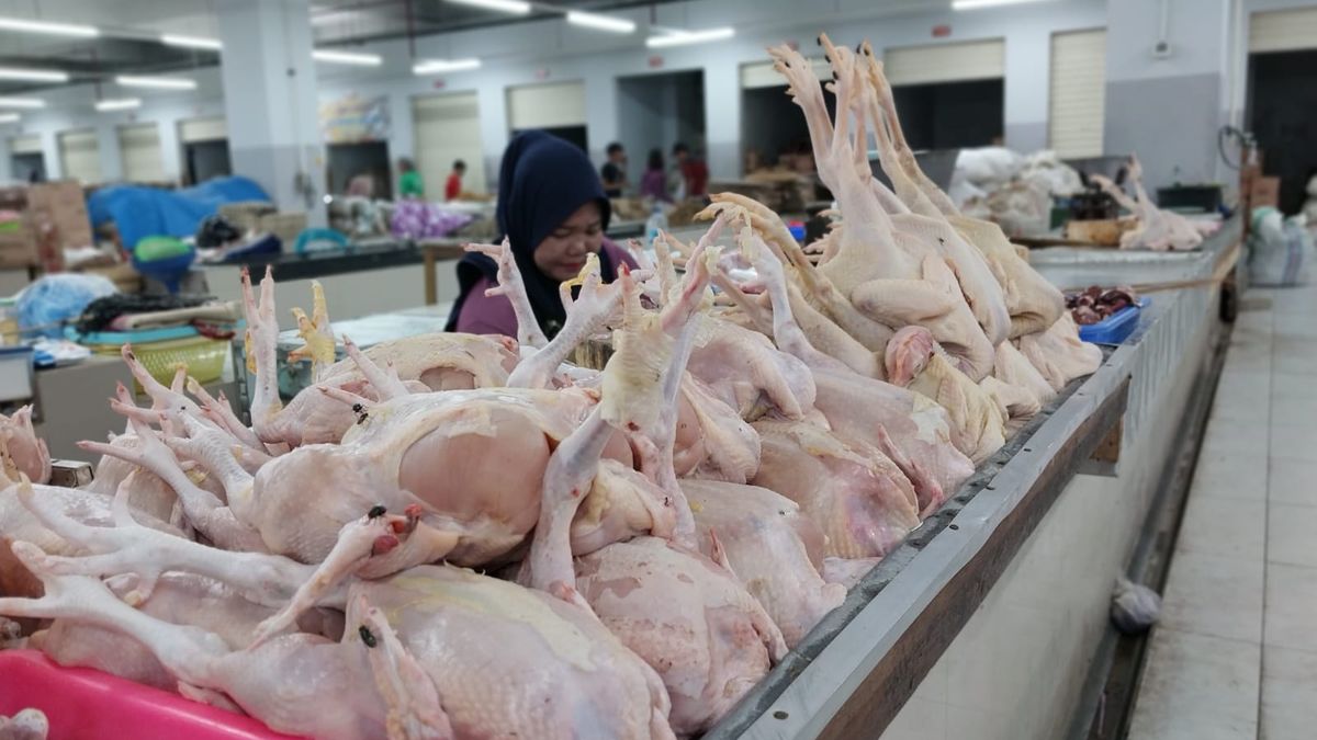 Jelang Natal Dan Tahun Baru Harga Ayam Potong Dan Telur Naik Pasar Serpong Lesu Pedoman