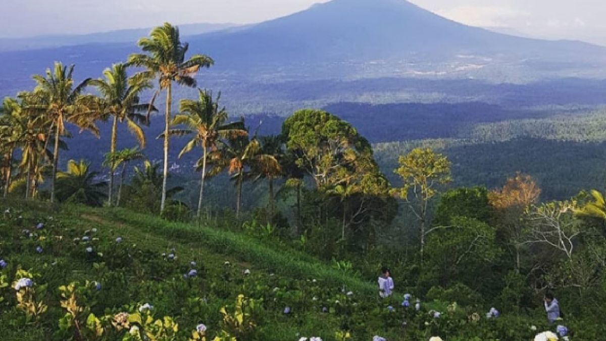 Menjelajahi Pesona Tersembunyi Lampung Tengah: Surga Wisata Yang Menanti Untuk Ditemukan