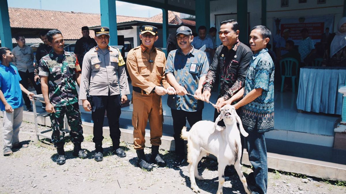 Pj Bupati Hanung Hari Ini Bawa Hewan Ternak Ternyata Ini Yang