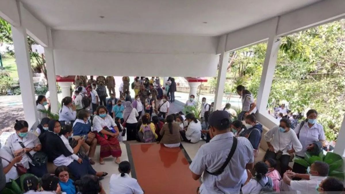 Pilu 249 Nakes di Manggarai Dipecat Gegara Minta Naik Gaji, Dituding Tak Loyal ke Bupati