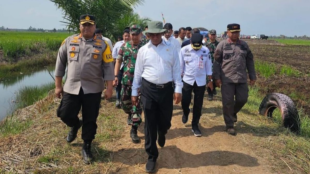 Kementan Siap Beri Bantuan Pompanisasi Untuk Ratusan Ribu Hektare Sawah ...