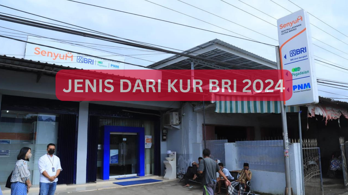 Simak Jenis Dari Kur Bri 2024 Sebelum Mengajukan Pinjaman Pencairan