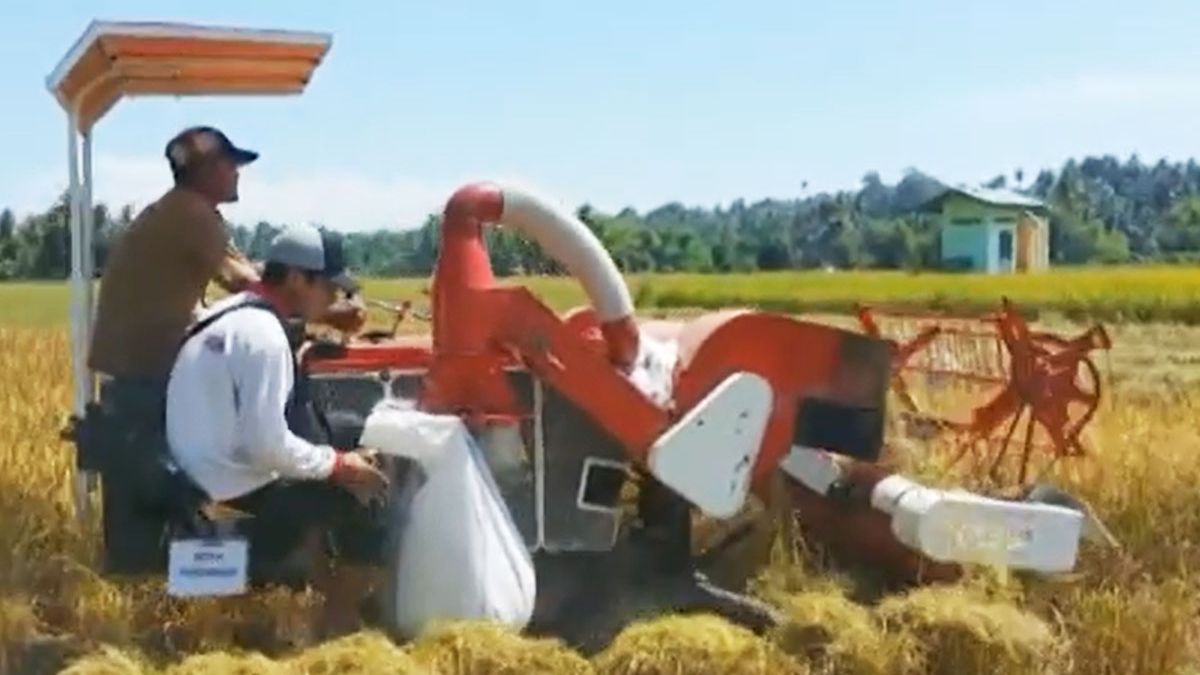 Harga Mesin Combine Harvester dengan Penggerak Kubota: Mesin Penyelamat ...