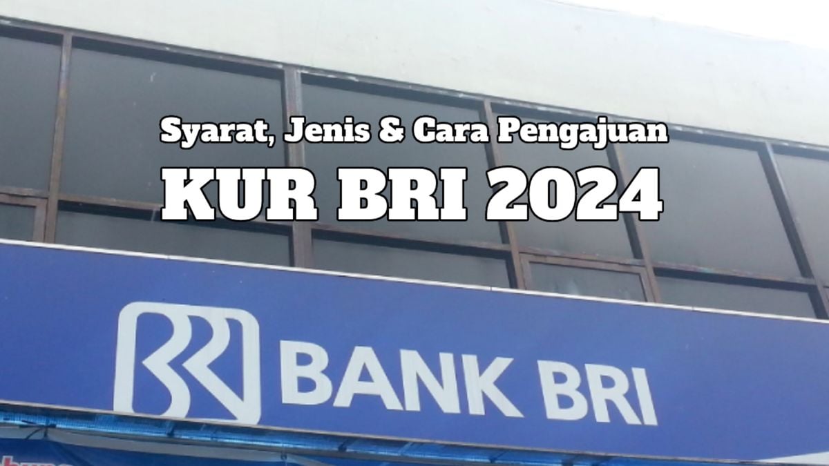 Kur Bri 2024 Kembali Dibuka Dengan Tiga Kategori Berikut Syarat