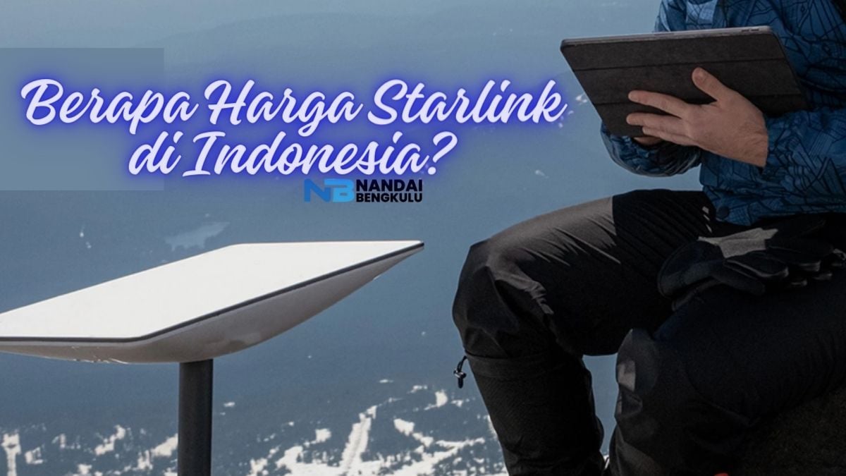 Berapa Harga Starlink di Indonesia? Ini Paket Internet Starlink Besutan ...