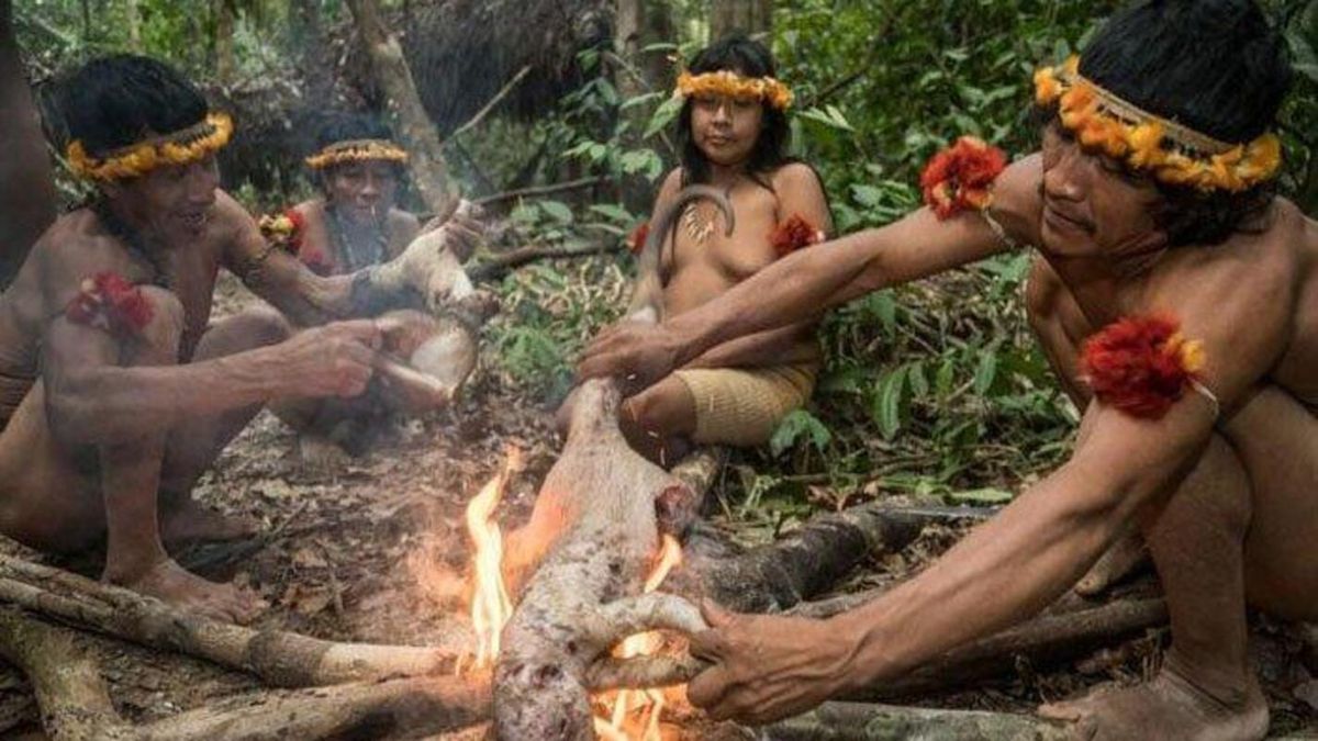 Mengenal Suku Yanomami, Suku Pribumi Hutan Hujan Amazon - Malang Hits
