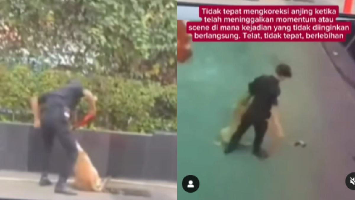 Pengakuan Satpam Plaza Indonesia Pukul Anjing: Saya Terpaksa, Biar Berhenti Terkam Anak Kucing