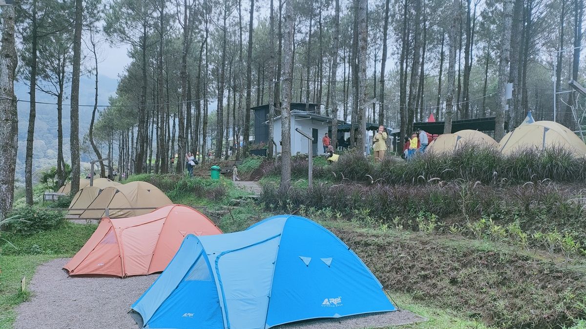 Spot Healing Di Alam Rekomendasi Camping Ground Di Trawas Pilihan