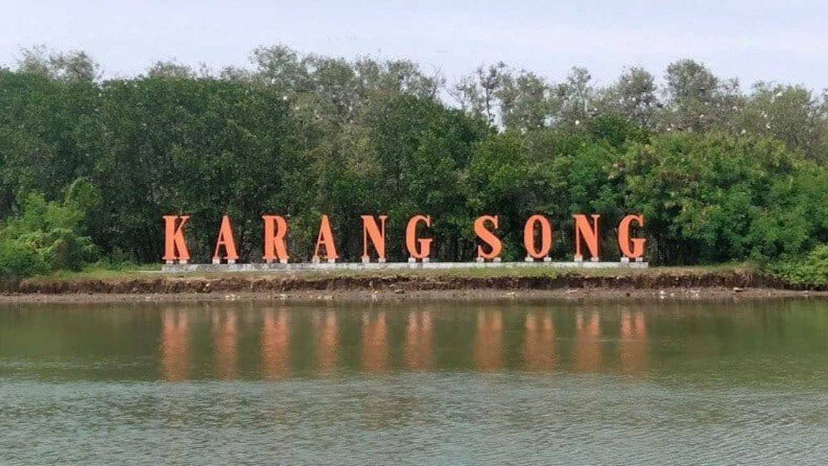 Wisata Edukasi Ekosistem Hutan Mangrove Hanya Ada di Pantai Karangsong ...