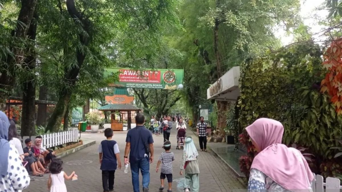 Eri Cahyadi Murka Juru Parkir Liar di Kebun Binatang Surabaya Patok Tarif Rp35.000, Sengaja Jebak Pengunjung