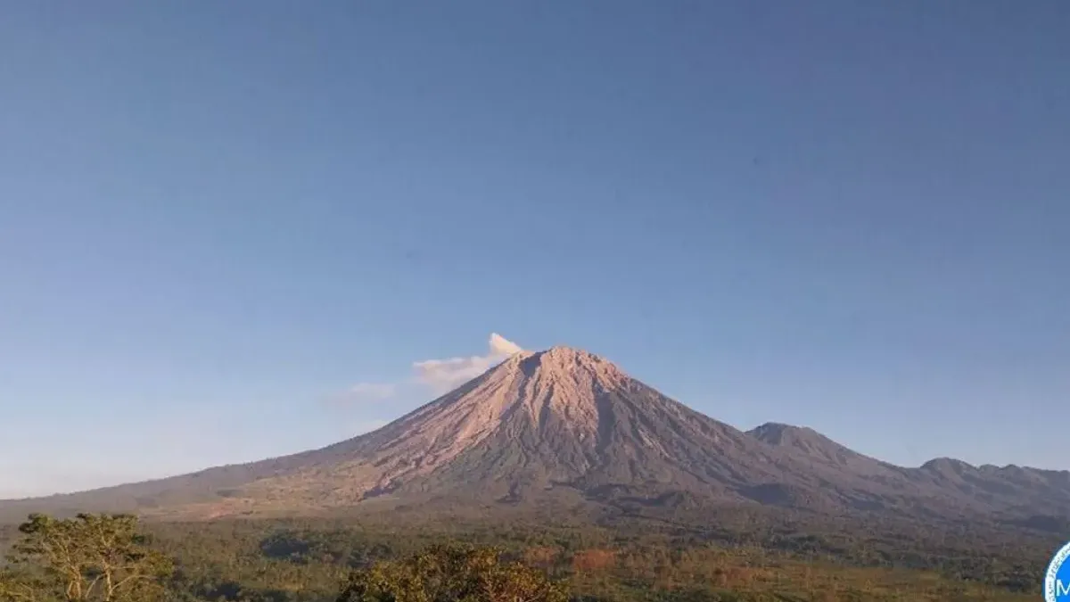 Gunung Semeru Erupsi 30 Kali Pagi Ini 13 Juli 2024