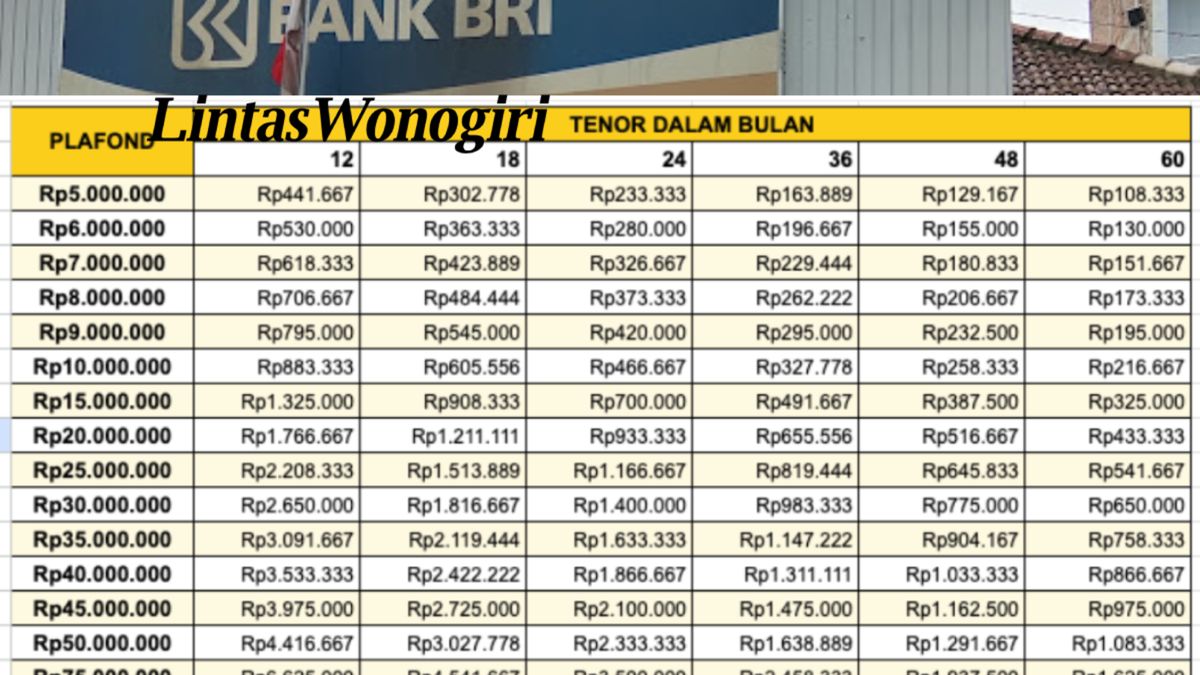 Bagaimana Cara Mengajukan Pinjaman Kur Bri 2024 50 Juta Berikut Cara