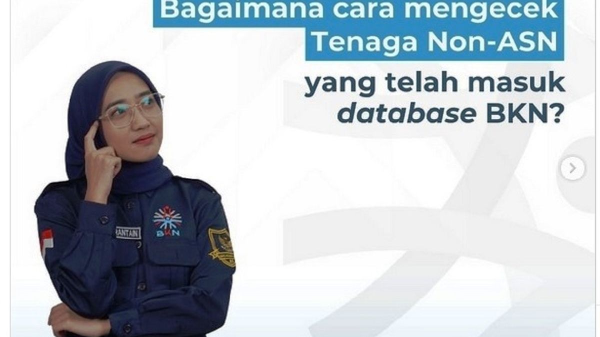 Jadwal Pendaftaran PPPK 2024 Dirilis, Ini Cara Cek Tenaga Non ASN Masuk