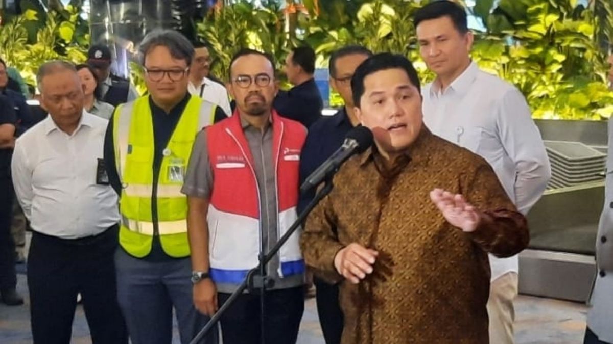 Erick Thohir Dorong Penurunan Harga Tiket Pesawat: Perubahan Pola ...