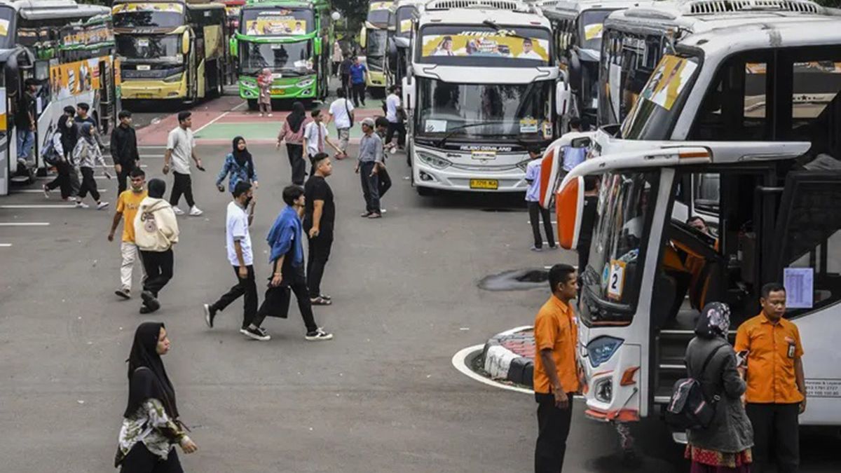 Kemenhub Siapkan Mudik Gratis Untuk Nataru 2025, 3.500 Kursi Bus ...