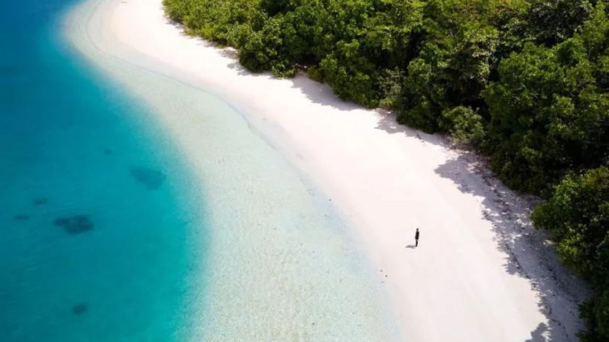 Pulau Peucang Pesona Alam Dan Satwa Liar Di Ujung Barat Jawa Harian Lingga