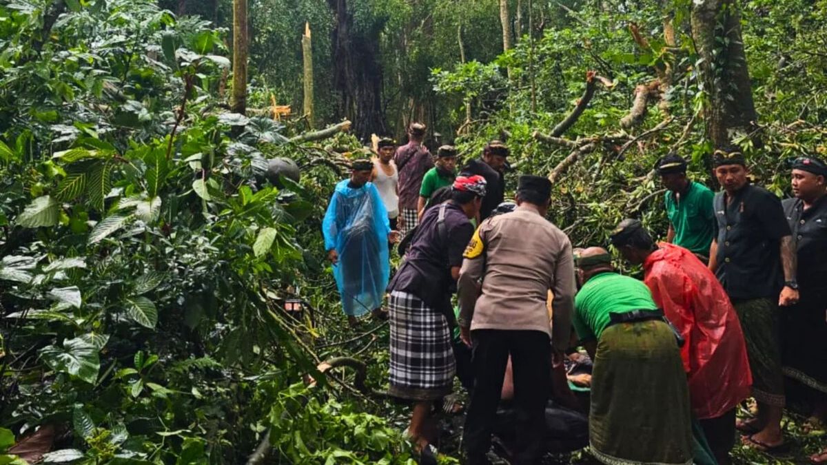 Dua Wna Tewas Akibat Pohon Tumbang Di Monkey Forest Ubud Bali Kabar Tasikmalaya