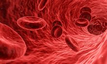 Mengenal Hemofilia, Penyakit Langka yang Wajib Diwaspadai