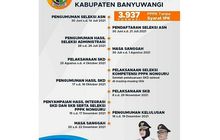 Jadwal Tahapan Seleksi Cpns Dan Pppk Kabupaten Banyuwangi Pendaftaran Seleksi Asn 30 Juni Hingga 21 Juli 2021 Kabar Lumajang