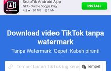 Cara Download TikTok MP4 Tanpa Watermark di SnapTik, Mudah dan Gratis! -  Banten Raya