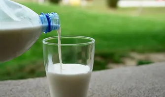 review novel layangan putus Deretan Manfaat Konsumsi Susu Kambing Etawa Bagi Kesehatan