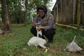 Inspektur Dua Ike Adriani mengurus kucing-kucing liar di sela kegiatannya sebagai personel kepolisian di Kabupaten Bekasi, Kamis (1/9/2022).