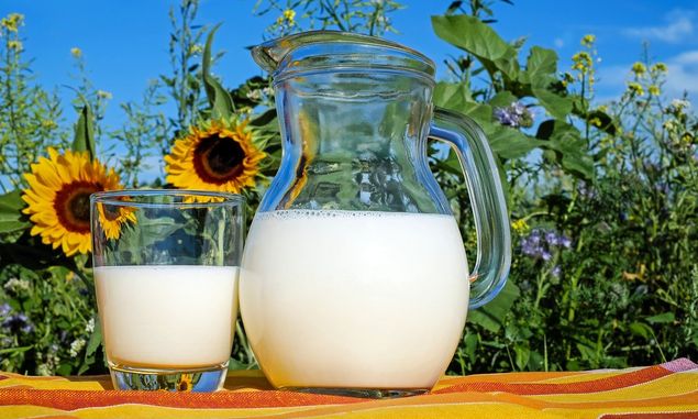 Daripada Minum Susu Kental Manis Seduh, Lebih Baik Konsumsi 6 Jenis Susu Berikut yang Jauh Lebih Bergizi