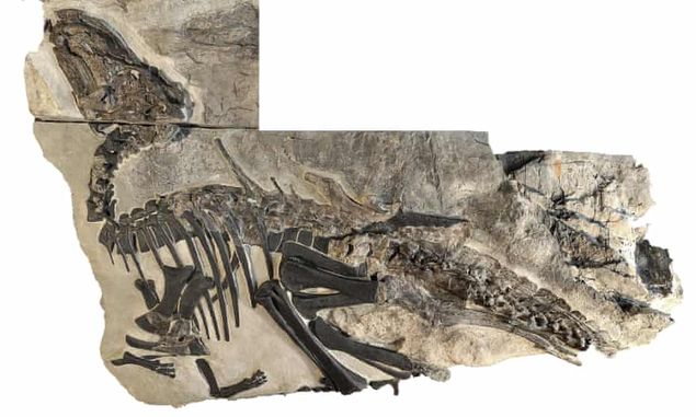 Peneliti Temukan Fosil Sekawanan 11 Dinosaurus di Italia