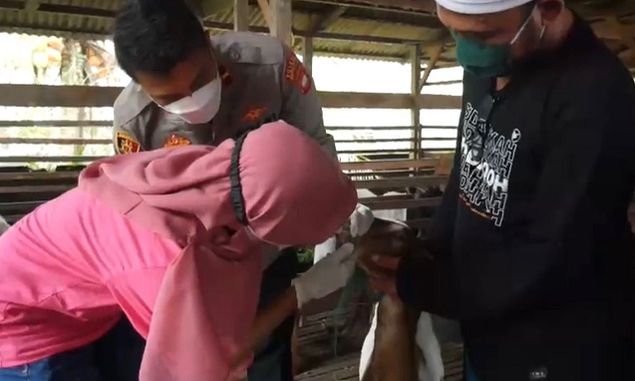 Polsek Sungai Ambawang, Libatkan Bhabinkamtibmas Kontrol Kesehatan Hewan Ternak Jelang Idul Adha