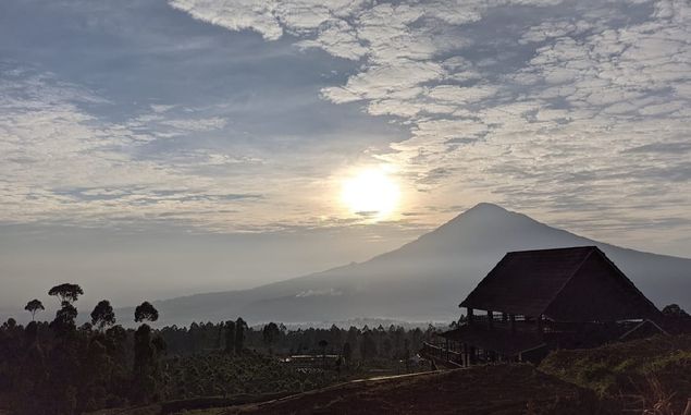 Destinasi Agrowisata Tepas Papandayan Garut Jawa Barat