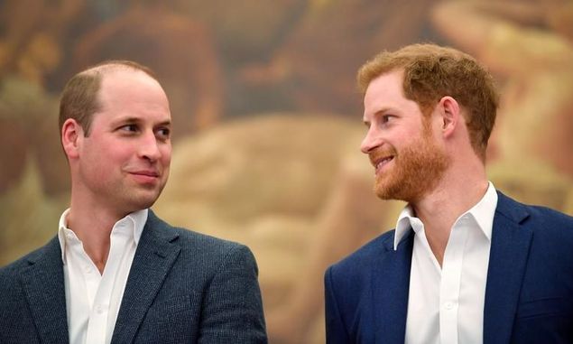 Momen Pangeran William dan Harry Bersatu Promosikan Diana Award