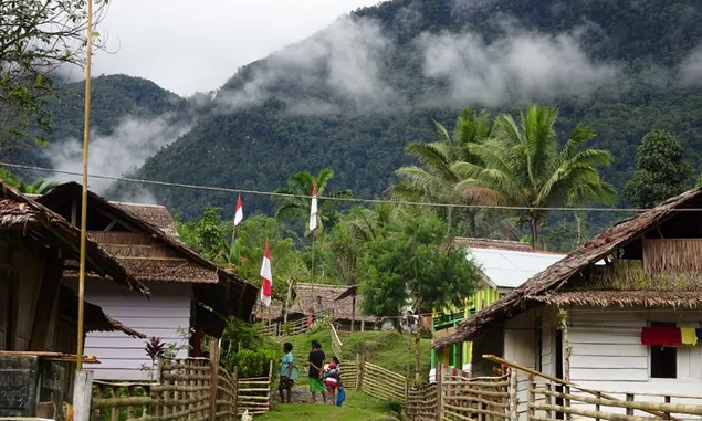 Jalur Pendakian Ekstrem Gunung Binaiya yang Eksotis di Pulau Seram