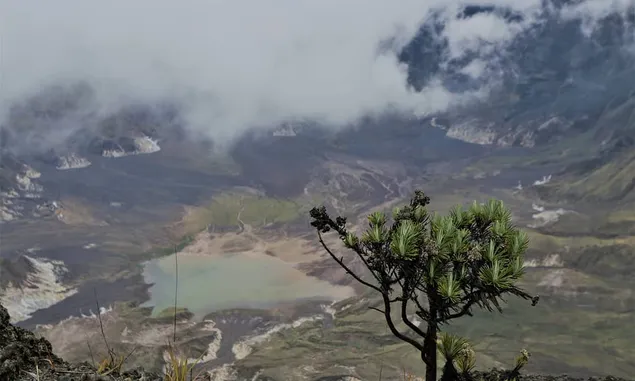 Sudah 207 Tahun Meletus Dahsyat, Simak Potensi Gunung Tambora yang Diharap Jadi Destinasi Wisata Dunia 