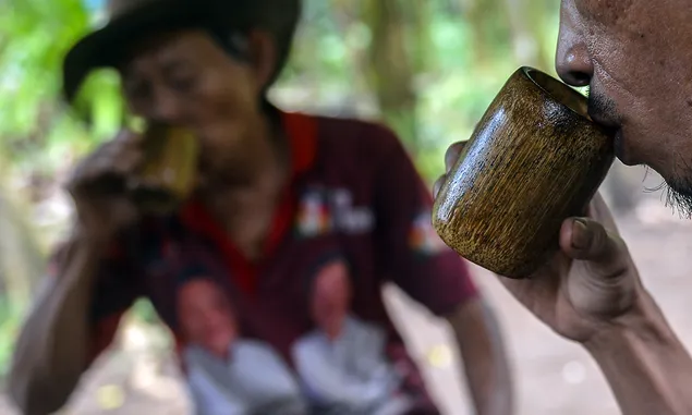 Aroma Kopi Koya Semerbak di Belahan Nusantara