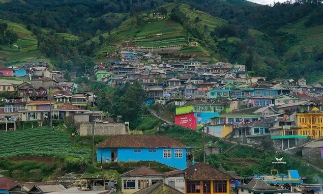 5 Keindahan Nepal Van Java Kaliangkrik, Lereng Gunung Sumbing Magelang yang Wajib Diketahui