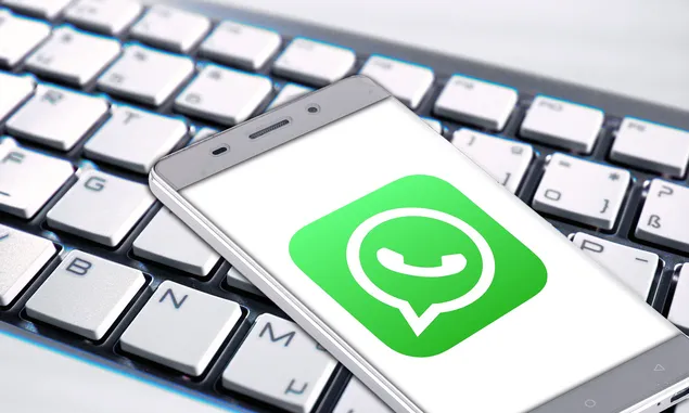 Tanpa Simpan Nomor WhatsApp Bisa Chattingan, Apa Alasannya?