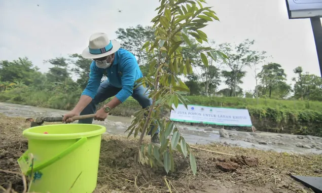 Ridwan Kamil Bersama Bupati dan Wali Kota di Jabar Tanam 10 Juta Pohon