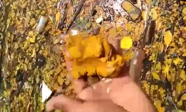 Viral Video Nelayan Mempawah Temukan Gumpalan CPO dengan Jumlah Banyak di Pulau Temajo, Diduga Limbah PT EUP
