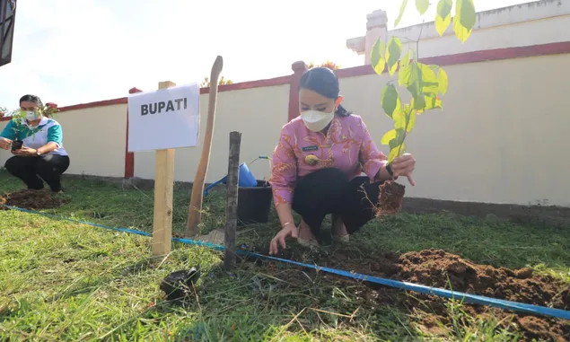 Rayakan HUT Pemprov Kalbar ke-65, Pemkab Landak Tanam Sejuta Pohon