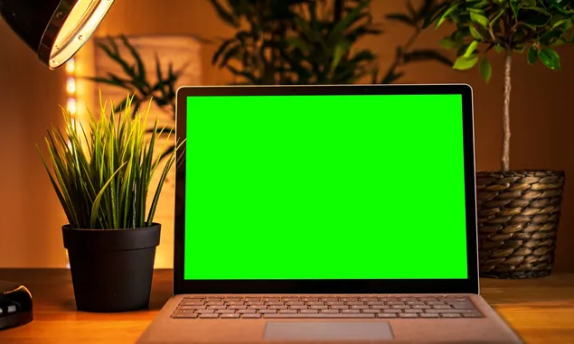 Tiga Cara Menghilangkan Effect Green Screen Video Pada Adobe Premiere Pro Mudah untuk Pemula