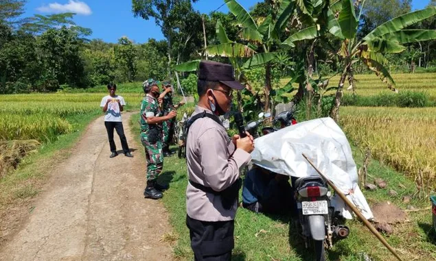 Agar Mau Divaksin Covid-19, Petugas di Kebumen Turun ke Sawah Bujuk Petani yang Sedang Panen