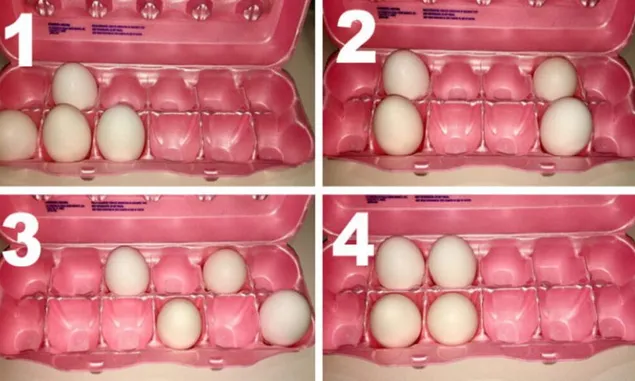 Tes Psikologi Gambar: Pilih Telur Dibawah Ini Bakal Ungkap Kekuatan Tersembunyi Seseorang
