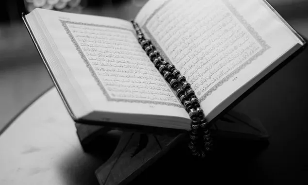 Jelang Idul Adha, Amalan Sehari Tapi Dosa Diampuni Bertahun-tahun Menurut Dr. Syafiq Riza Basalamah