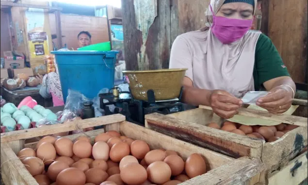 Update Harga Telur Ayam Ras di Boyolali 7 Juli 2022