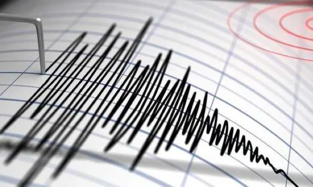 Gempa Bumi Tektonik 3.2 Mengguncang Sanggau Kalimantan Barat, Benda Ringan Bergoyang