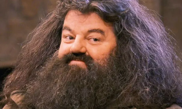 Profil dan Biodata Robbie Coltrane, Pemeran Hagrid di Harry Potter yang Baru Saja Meninggal Dunia